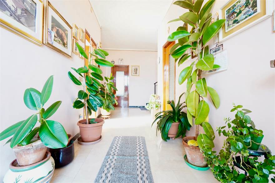 Ingresso piano terra