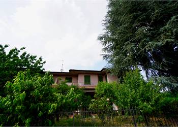 Appartamento trilocale libero! 